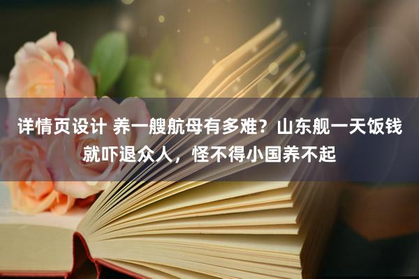 详情页设计 养一艘航母有多难？山东舰一天饭钱就吓退众人，怪不得小国养不起