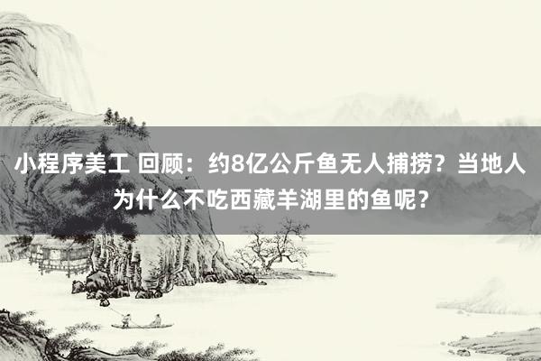 小程序美工 回顾：约8亿公斤鱼无人捕捞？当地人为什么不吃西藏羊湖里的鱼呢？