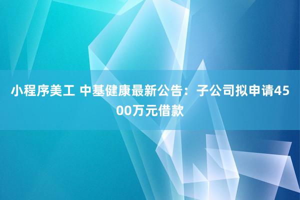 小程序美工 中基健康最新公告：子公司拟申请4500万元借款