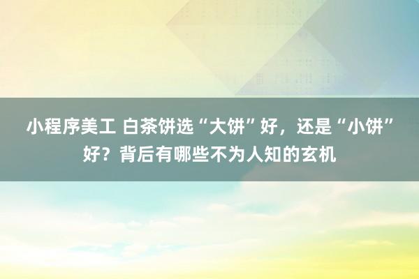 小程序美工 白茶饼选“大饼”好，还是“小饼”好？背后有哪些不为人知的玄机