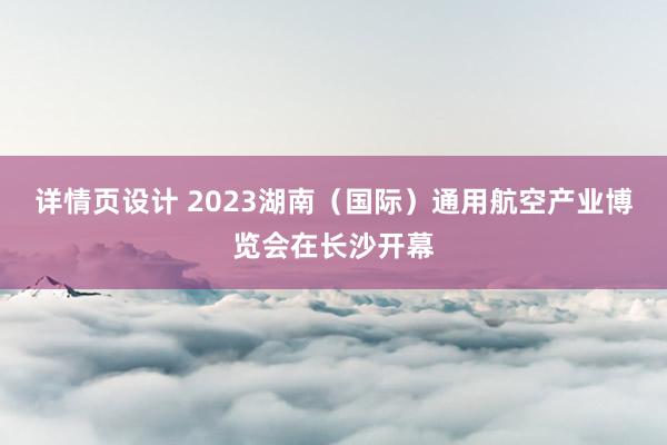 详情页设计 2023湖南（国际）通用航空产业博览会在长沙开幕