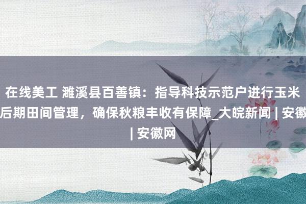 在线美工 濉溪县百善镇：指导科技示范户进行玉米中后期田间管理，确保秋粮丰收有保障_大皖新闻 | 安徽网