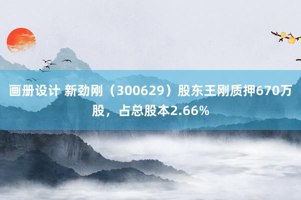 画册设计 新劲刚（300629）股东王刚质押670万股，占总股本2.66%