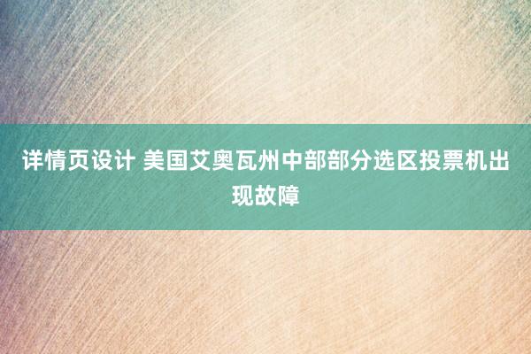 详情页设计 美国艾奥瓦州中部部分选区投票机出现故障